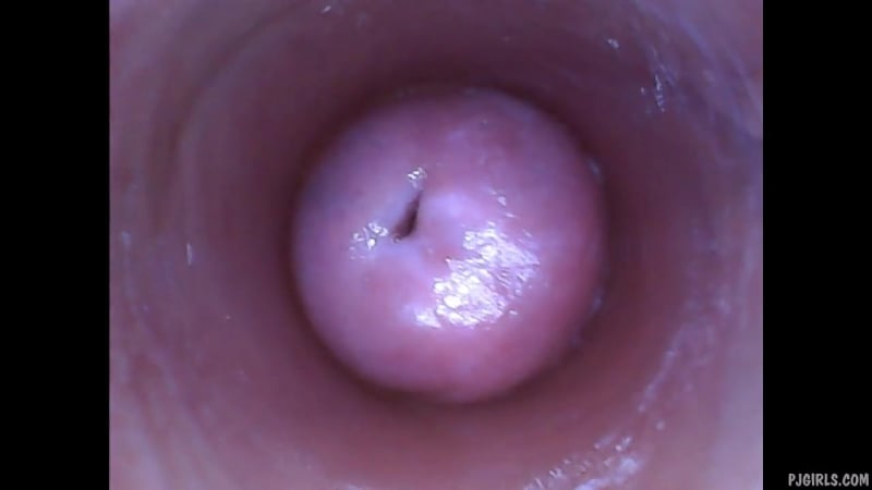 Women's pussy vagina from the inside in HD quality